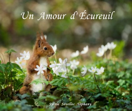 Un Amour d' Écureuil book cover