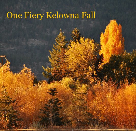 View One Fiery Kelowna Fall by Cathryn Wellner