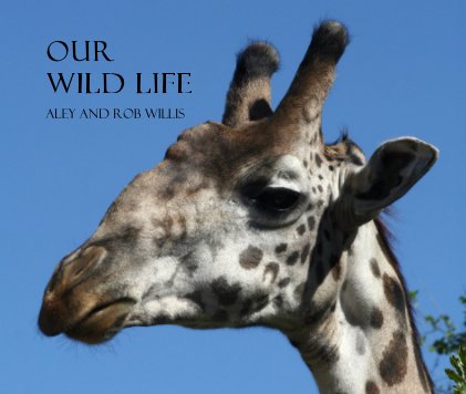 Our Wild Life book cover