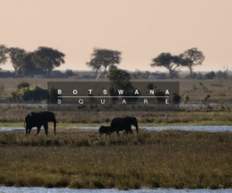 Botswana (square) book cover