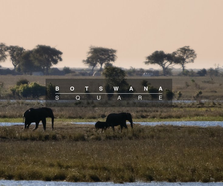 Bekijk Botswana (square) op Alessandro Muiesan