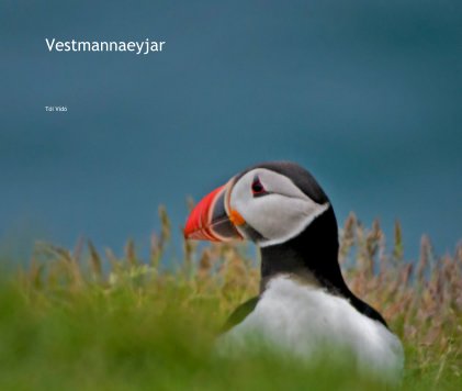 Vestmannaeyjar book cover