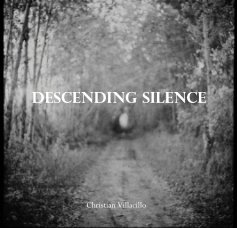 Descending Silence book cover