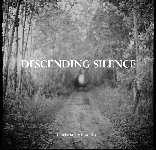 View Descending Silence by Christian Villacillo