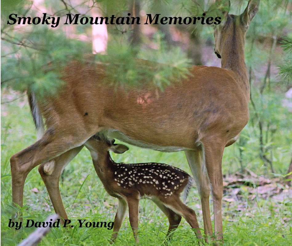 View Smoky Mountain Memories by David P. Young