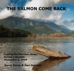 THE SALMON COME BACK book cover