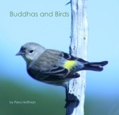 Buddhas and Birds book cover