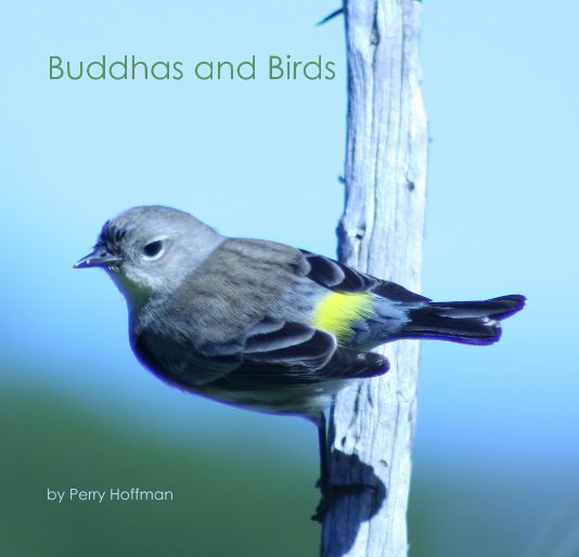 View Buddhas and Birds by Perry Hoffman
