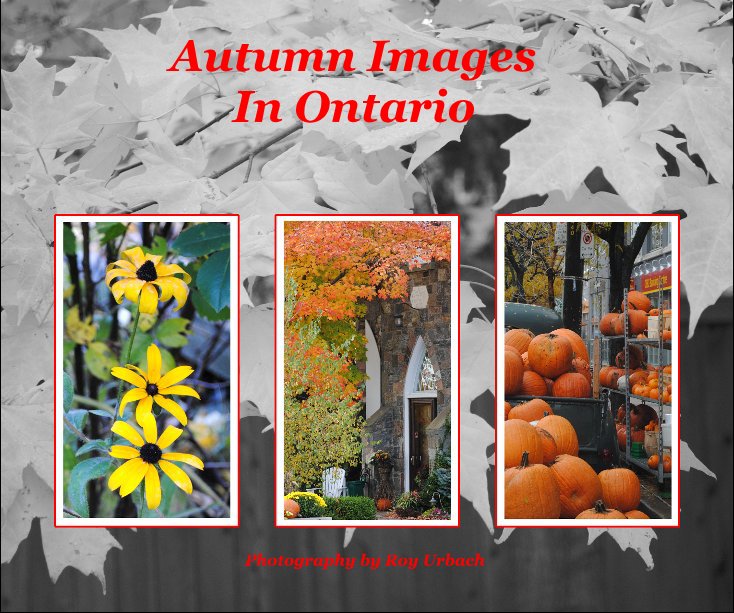 Ver Autumn Images In Ontario por Photography by Roy Urbach