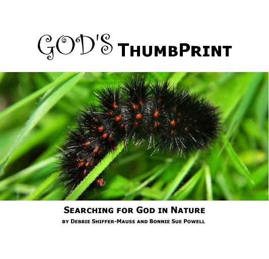 View GOD'S ThumbPrint by Debbie Shiffer-Mauss and Bonnie Sue Powell