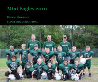 Mini Eagles 2010 book cover