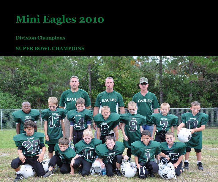 View Mini Eagles 2010 by SUPER BOWL CHAMPIONS