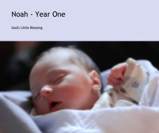 Noah - Year One book cover