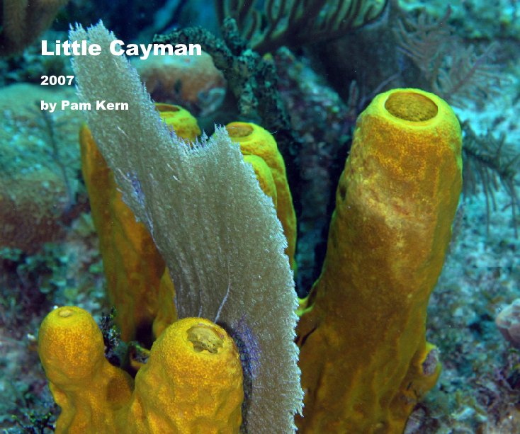 View Little Cayman by Pam Kern