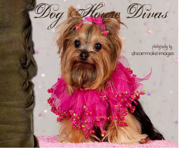 View Dog House Divas by Shelly Fields-DreamMaker Images