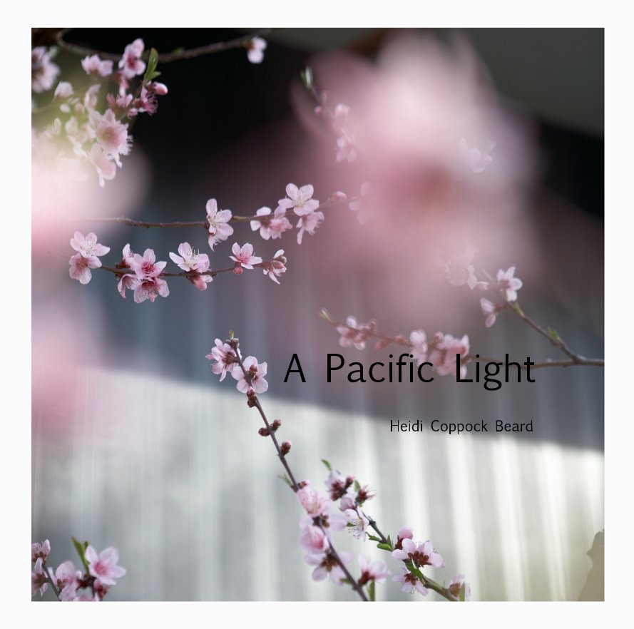 View A Pacific Light Colour Photographs by Heidi Coppock Beard by Heidi Coppock Beard