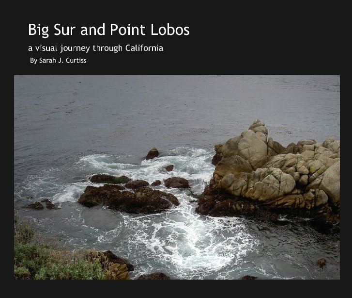 View Big Sur and Point Lobos by By Sarah J. Curtiss