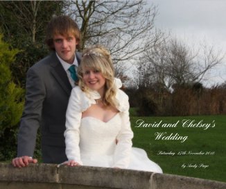 David and Chelsey's Wedding book cover