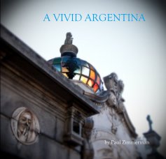 A VIVID ARGENTINA book cover