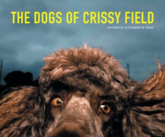 The dogs of Crissy Field by Alessandro DeSogos Special thanks to all the dog lovers. book cover