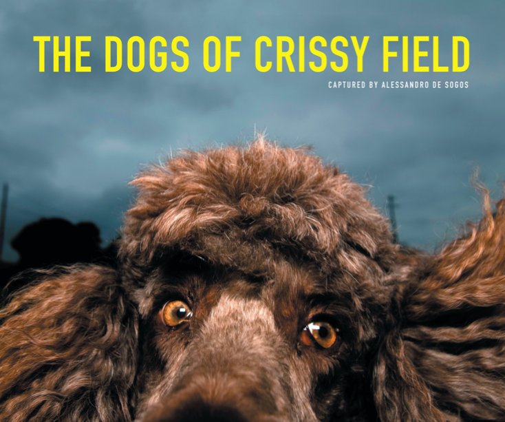 View The dogs of Crissy Field by Alessandro DeSogos Special thanks to all the dog lovers. by Alessandro DeSogos