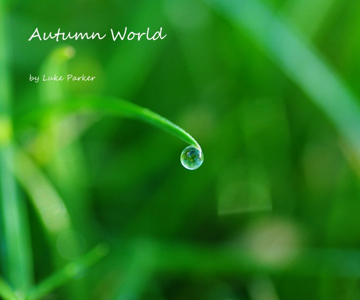 View Autumn World by Luke Parker