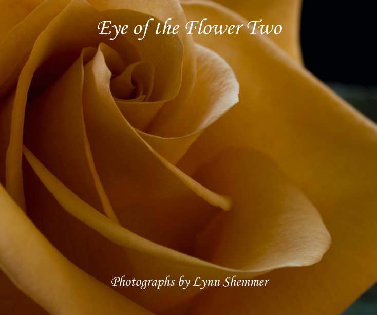 View Eye of the Flower Two by Photographs by Lynn Shemmer