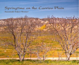 Springtime on the Carrizo Plain book cover