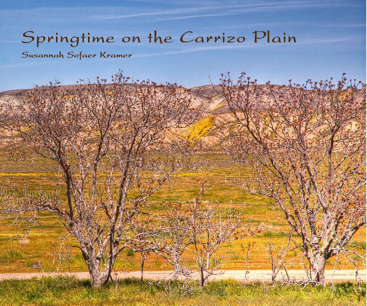 View Springtime on the Carrizo Plain by Susannah Sofaer Kramer