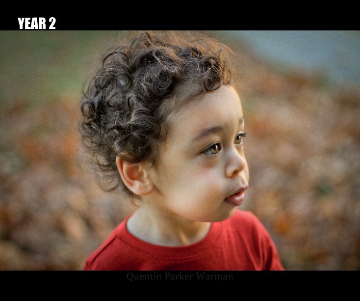 View YEAR 2 by Eric Warman