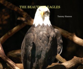 THE BEAUTY OF EAGLES book cover