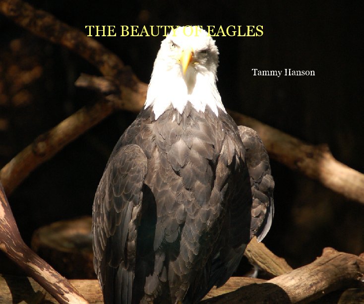 View THE BEAUTY OF EAGLES by Tammy Hanson