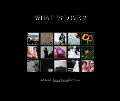 WHAT IS LOVE ? book cover