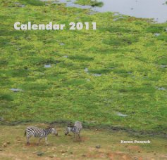 Desk Calendar 2011 book cover