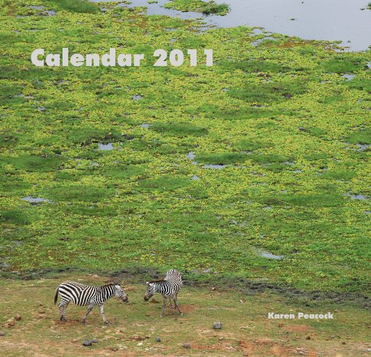 View Desk Calendar 2011 by Karen Peacock