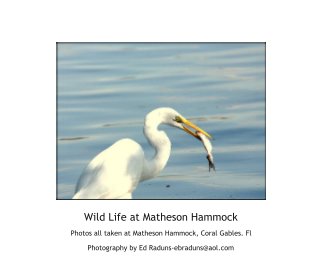 Wild Life at Matheson Hammock book cover