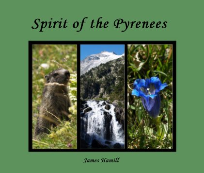 Spirit of the Pyrenees book cover