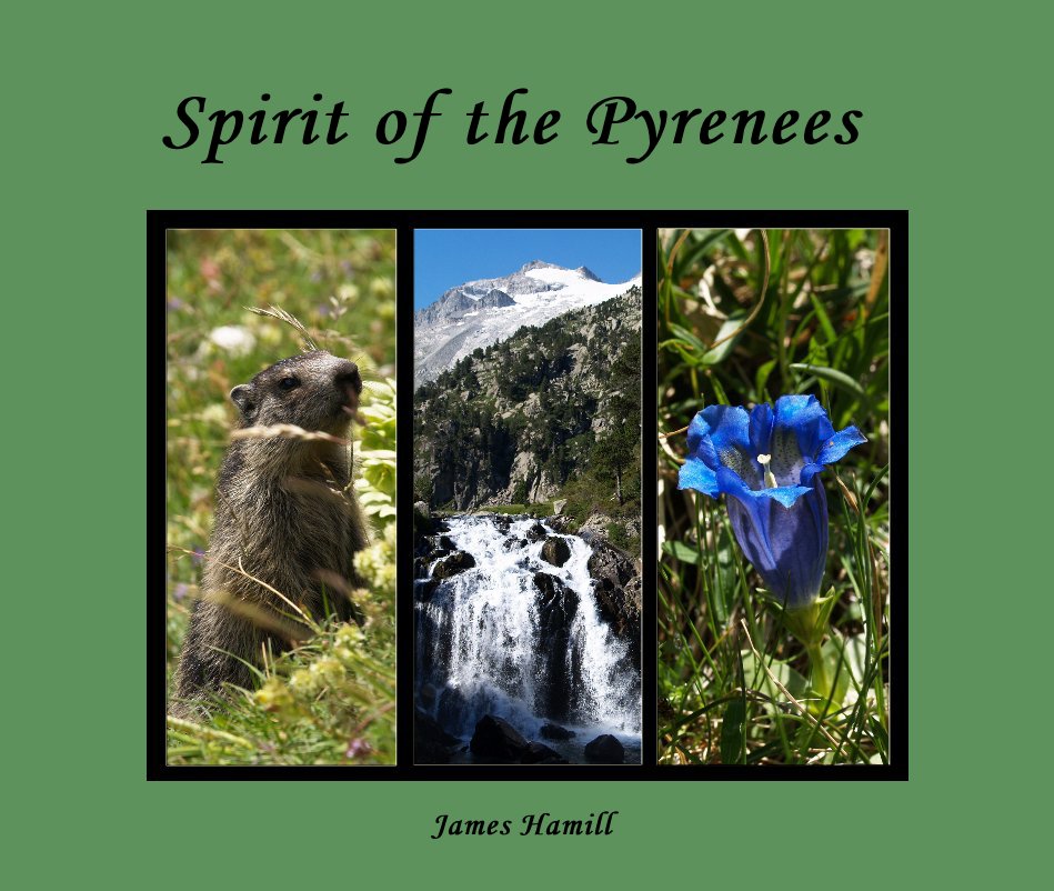 View Spirit of the Pyrenees by James Hamill