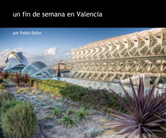 un fin de semana en Valencia book cover