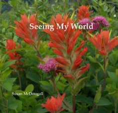 Seeing My World book cover