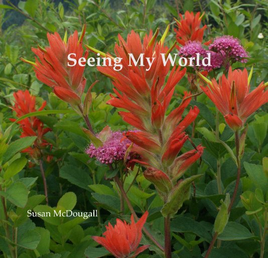 View Seeing My World by Susan McDougall