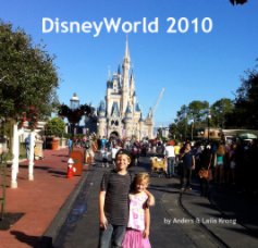 DisneyWorld 2010 book cover