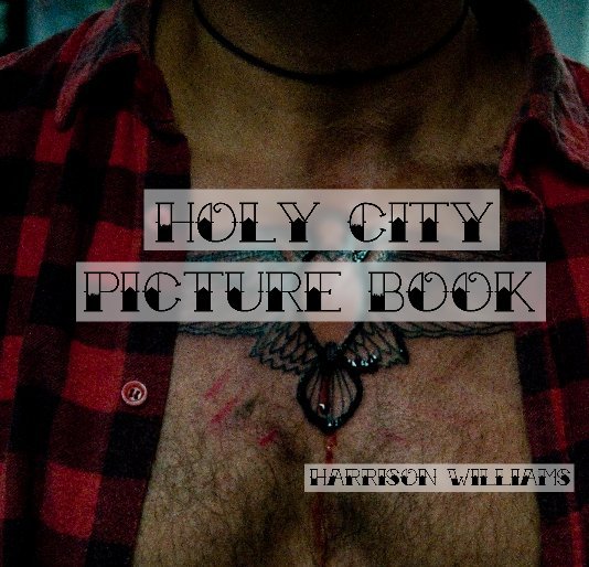 Ver Holy City Picture Book por Harrison Williams