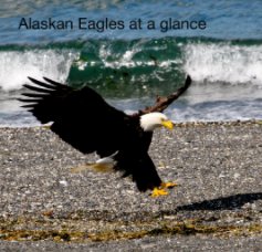 Alaskan Eagles at a glance book cover