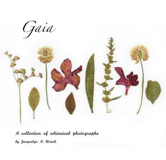 Ver Gaia por Jacquelyn A. Hirsch