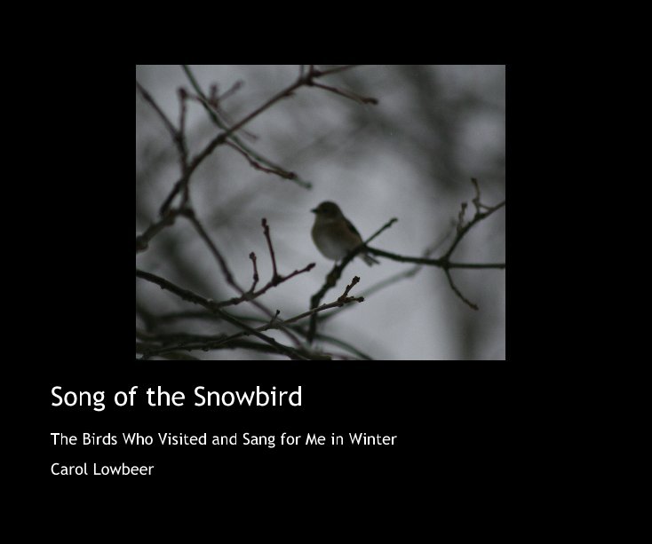 View Song of the Snowbird by Carol Lowbeer