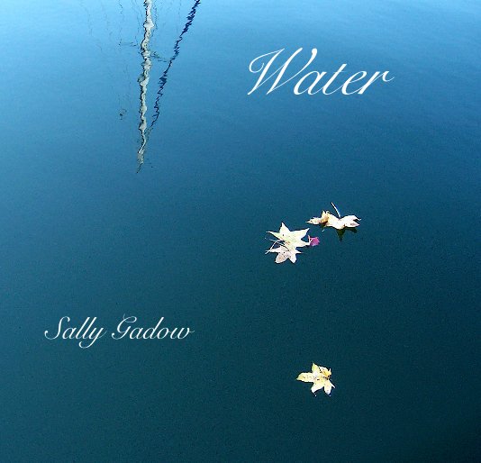 View Water by Sally Gadow