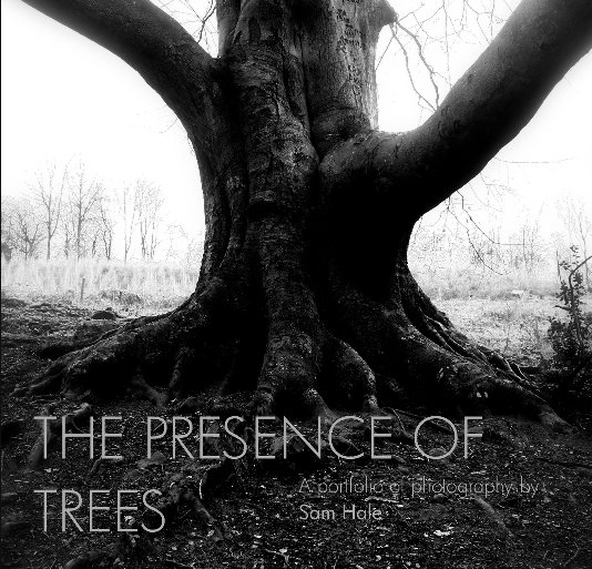 View The Presence of Trees by Sam Hale