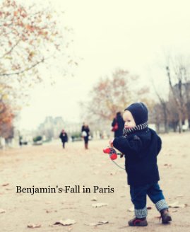 Benjamin's Fall in Paris book cover