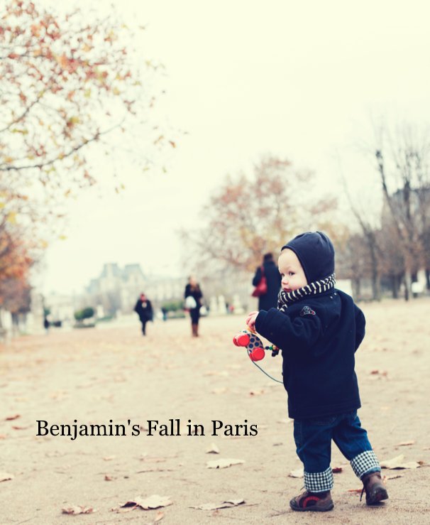 View Benjamin's Fall in Paris by irenenam